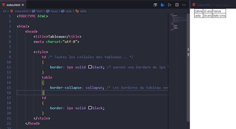 Tableaux Html Les Notions De Base Develop Fun Programmation Web