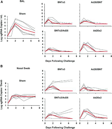 Viral Loads Following Sars Cov Omicron Challenge A Log Subgenomic