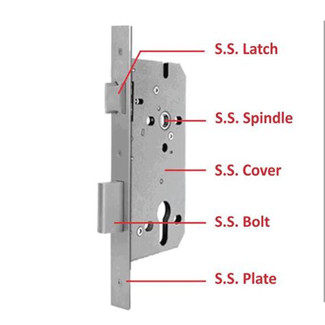 Mortise Locks All About Doors And Windows Parts Greeninterio