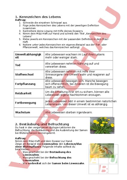 Arbeitsblatt Kennzeichen Des Lebens Biologie Tiere