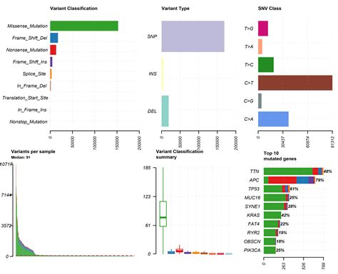 Genomic Alteration Characterization In Colorectal Cancer Identifies A