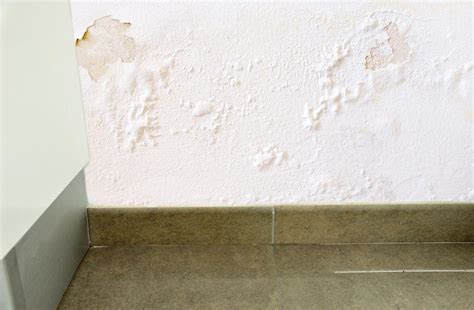 how to find water leak in wall