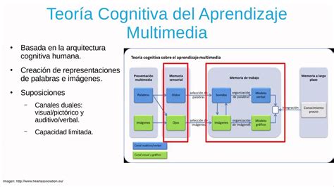 Ejemplos De La Teoria Cognitiva Del Aprendizaje Opciones De Ejemplo