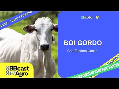 Cen Rio Do Boi Gordo Youtube