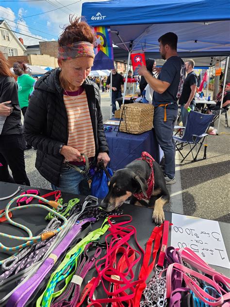 Companion Pets of Cleveland... - Companion Pets of Cleveland
