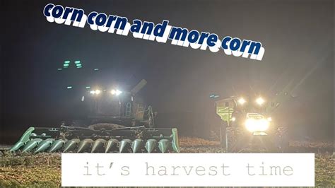 Corn Harvest Day And Youtube