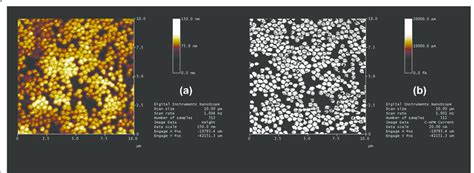 AFM analysis for 10 × 10-μm 2 areas. (a) Topographic images; (b)... | Download Scientific Diagram