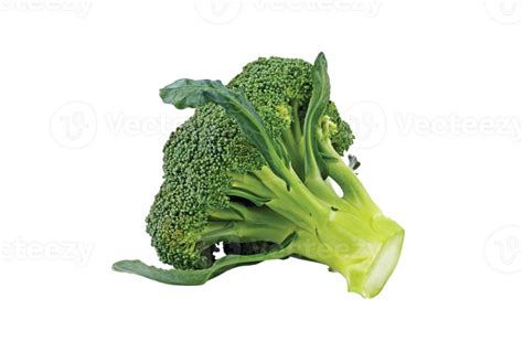 Broccoli Png Transparent Background 29719877 Png