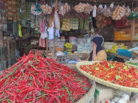 Makin Pedas Harga Cabai Rawit Merah Di Pasar Kranggot Tembus Rp