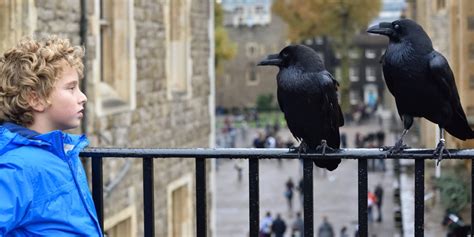 The Tower of London Ghosts and Where to Spot Them | The London Pass®