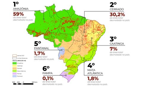 Desmatamento Cresceu No Brasil Aumento Em Todos Os Biomas Do