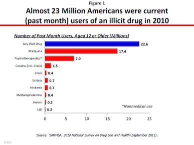 2010 National Survey On Drug Use And Health The White House