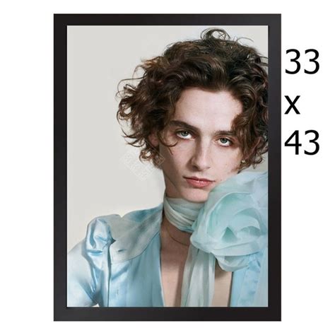 Quadro Ator De Me Chame Pelo Seu Nome Timothee Chalamet Elo7