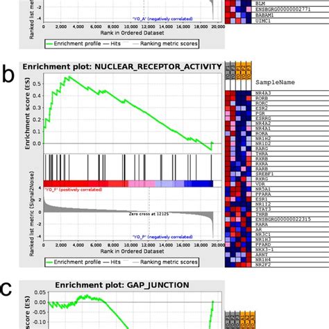 The Enrichment Plot Of The GSEA Results And The Heat Map Of Gene