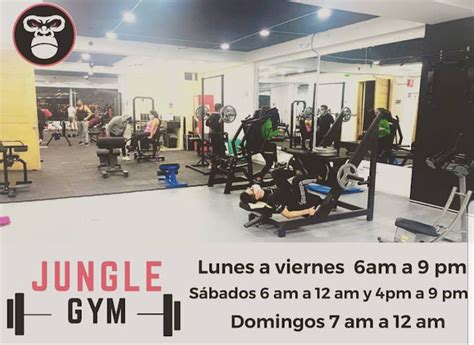 Opiniones De Jungle Gym Gimnasio En Quito Pichincha