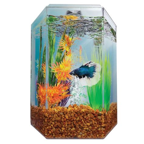 Imagitarium 17 Gallon Hexagonal Aquarium Petco Aquariums For Sale