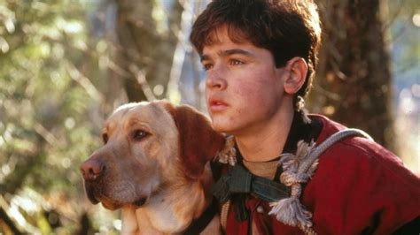 Far From Home The Adventures Of Yellow Dog 1995 เพื่อนรักแสนรู้ ดู