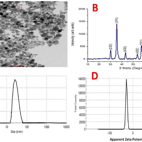 Characterization Of Ms Fe O Nps A Tem B Xrd C Particle