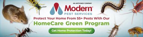 Pest Control Services | Modern Pest Services