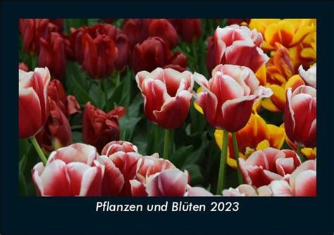 Tobias Becker Pflanzen Und Bl Ten Fotokalender Din A Kalender