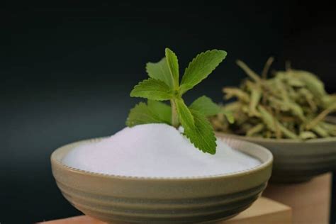 Is Stevia Consumption Linked To Cancer Health And Wellness