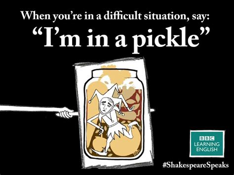 Idiom: I'm in a pickle | English idioms, English words, Idiomatic ...