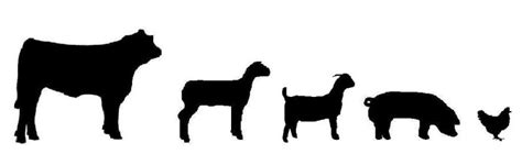 Livestock Clipart - ClipArt Best