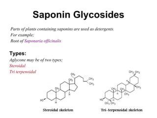 Saponin Glycosides Ppt