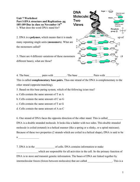 Dna Structure Worksheet Answer Key Dna Worksheet Biology Worksheet