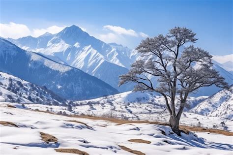 Premium Photo | Beautiful tree and snow covered mountains landscape ...