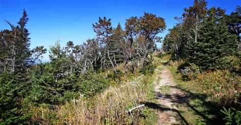 Skyline Trail - Nova Scotia - One Journey