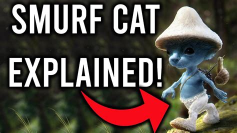 Smurf Cat EXPLAINED We Live We Love We Lie Cat YouTube