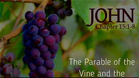 The Parable Of The Vine And The Branches Parable Explained YouTube