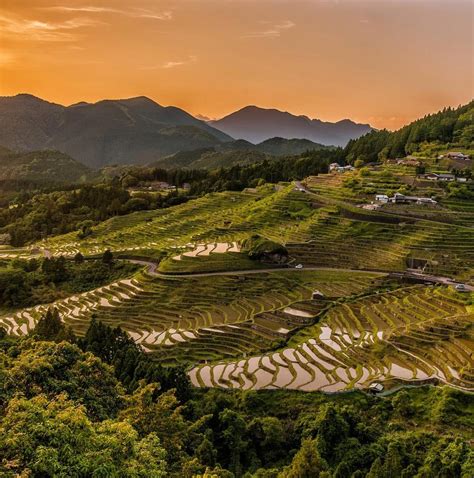 10 Best Japan Small Group Tours & Trips 2026/2027 - TourRadar