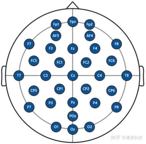 用户案例 脑认知信号探源:特殊操作人员情景意识智能识别 知乎 用户案例 脑认知信号探源:特殊操作人员情景意识智能识别 知乎