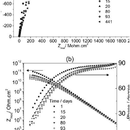 Evolution Of Coating Resistance R C Charge Transfer Resistance R