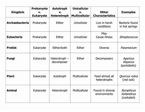 50 Domains And Kingdoms Worksheet