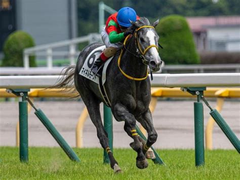 ゴールドシップ産駒の“十八番”福島芝1800m ラジオnikkei賞に連対率100％の血統馬が参戦 ライブドアニュース