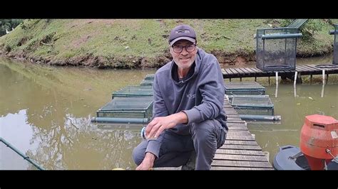 Alevinos Curitiba - Alevinos Curitiba - Comercialização de Filhotes de Peixes | +20 Espécies