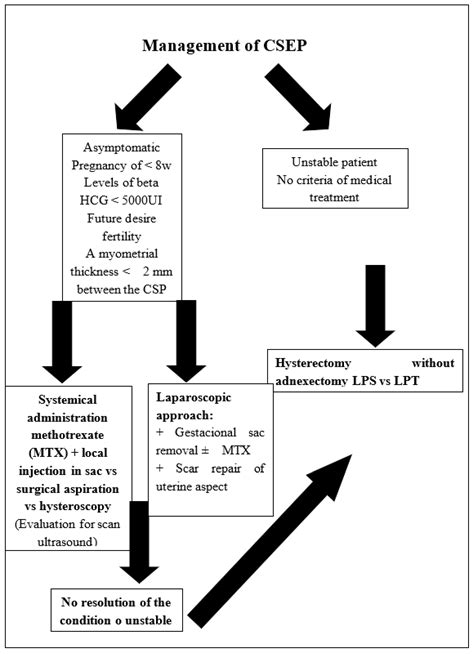 Medicina Free Full Text Cesarean Scar Ectopic Pregnancy—case Series