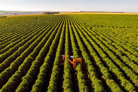 Exportações Do Agronegócio Do Brasil Têm Recorde Para O 1º Tri Com Alta