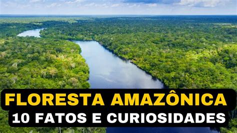 Floresta Amazônica 10 Fatos e Curiosidades Interessantes YouTube