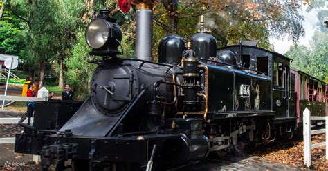 Excursi N De Un D A A La Vida Silvestre De Puffing Billy Y Phillip