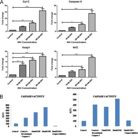 A Quantitative Real Time Pcr Analysis For Relative Mrna Expression Of