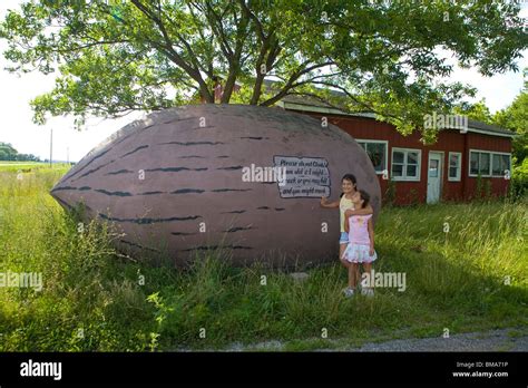 Worlds Largest Pecan Near Brunswick Missouri Stock Photo Alamy