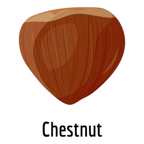 Premium Vector Chestnut Icon Cartoon Of Chestnut Vector Icon For Web