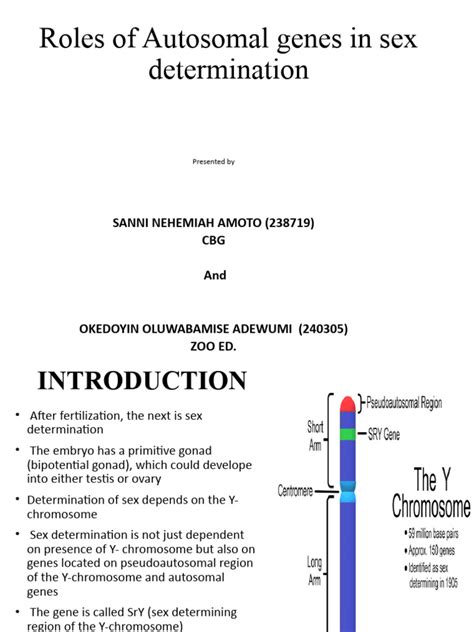 Roles Of Auto Genes In Sex Determination Pdf Biological Processes