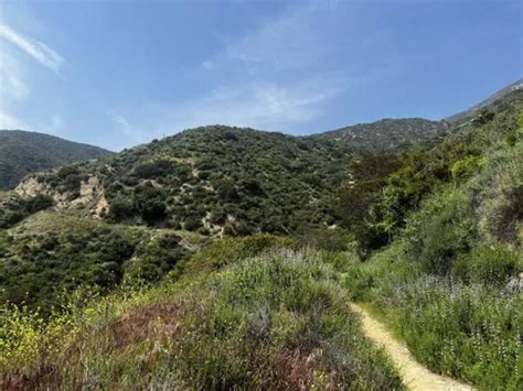 10 Best Trails and Hikes in Altadena | AllTrails