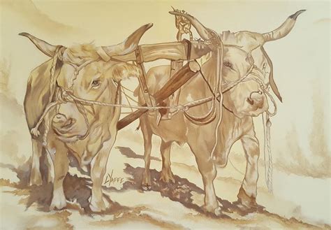 Oxen On A Yoke Painting By Loraine Yaffe Fine Art America