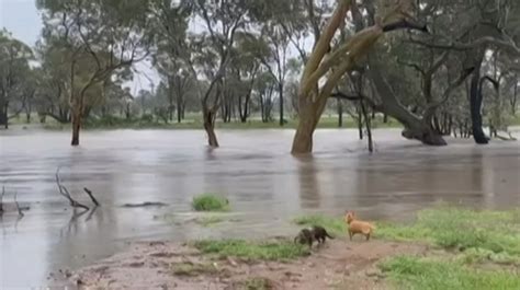 Queensland weather: Full list of roads impacted by flash flooding ...